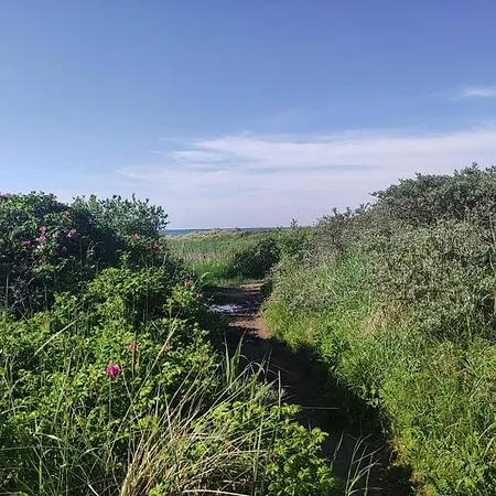 6 Person In Albaek-by Traum *