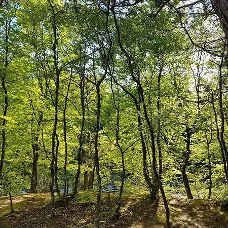 Дом отдыха 6 Person In Albaek-by Traum *