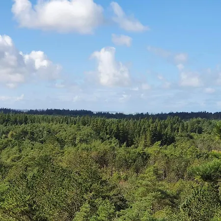 Дом отдыха 6 Person In Albaek-by Traum *