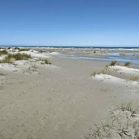 6 Person In * Ålbæk